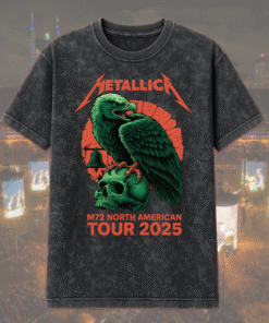 2D Acid Washed 1