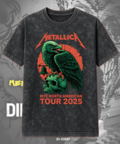 2D Acid Washed 2