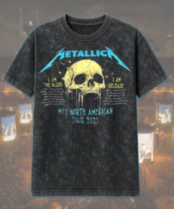 2D Acid Washed 1