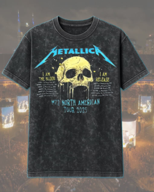 2D Acid Washed 1